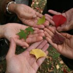 tolerance, diversity, views, interaction, together, tolerance, tolerance, tolerance, tolerance, tolerance, diversity, diversity, diversity